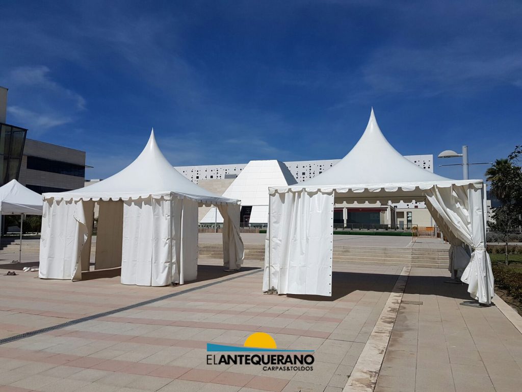Carpas en Sevilla
