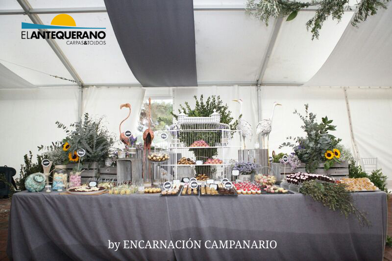 Decorar la carpa de tu boda