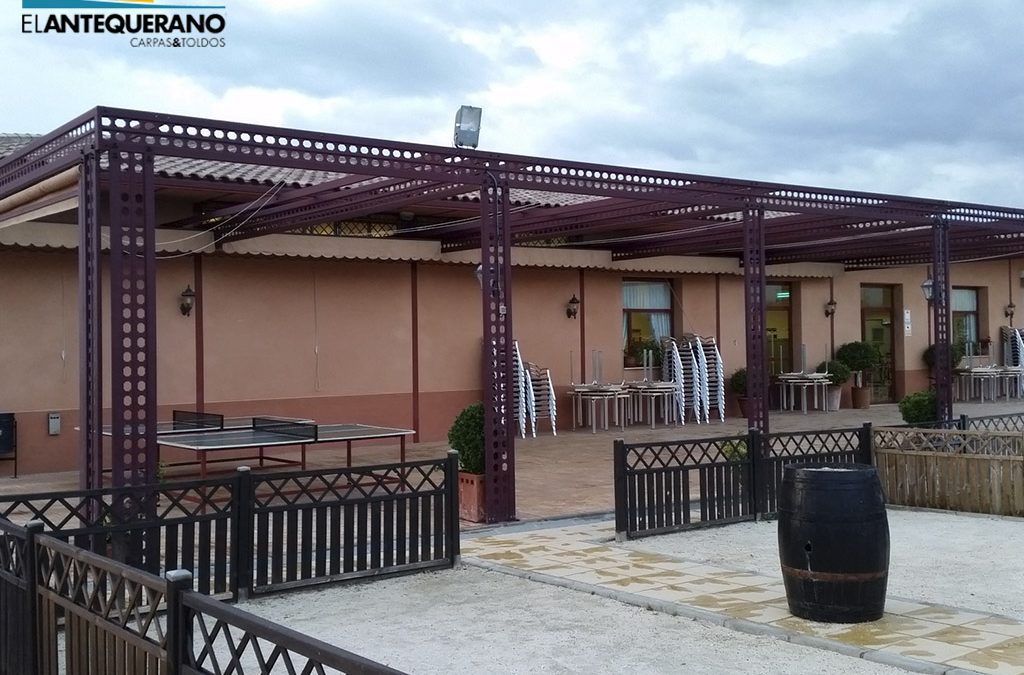 Carpas en primavera en Sevilla